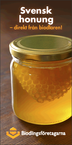 Svensk honung direkt från biodlaren