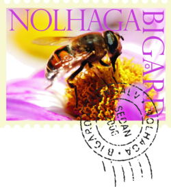 Nolhaga Bigård